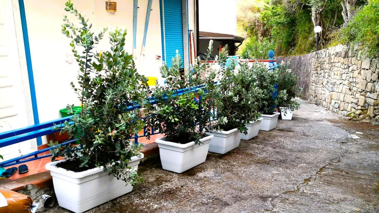 La Casa Di Aurelio Apartamento Capo dʼOrlando Exterior foto